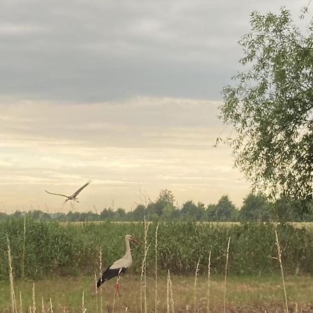 Ferienwohnung Fuchsberge Letschin Exteriör bild