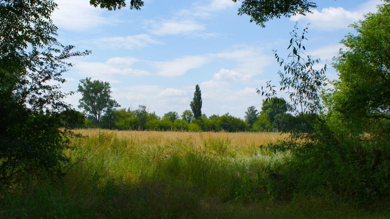 Ferienwohnung Fuchsberge Letschin Exteriör bild