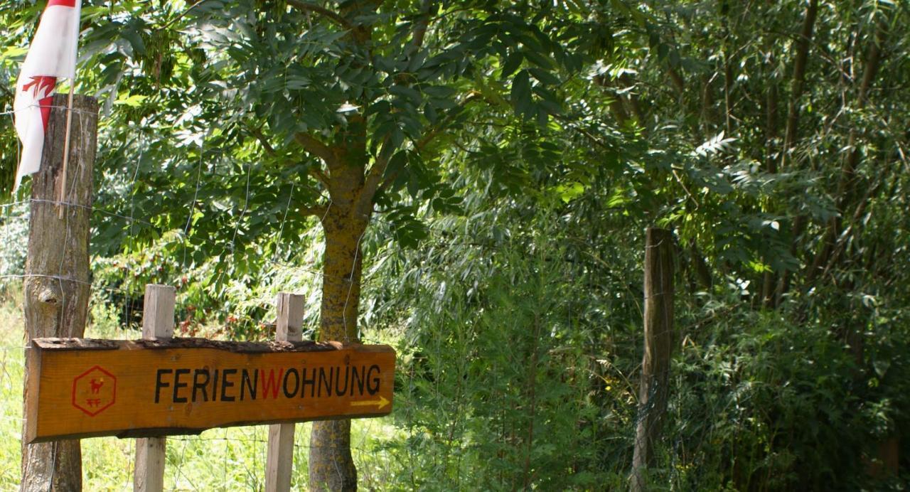 Ferienwohnung Fuchsberge Letschin Exteriör bild