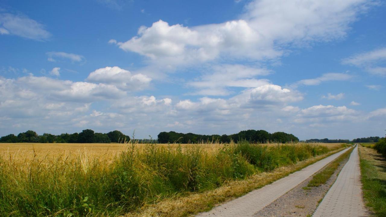 Ferienwohnung Fuchsberge Letschin Exteriör bild