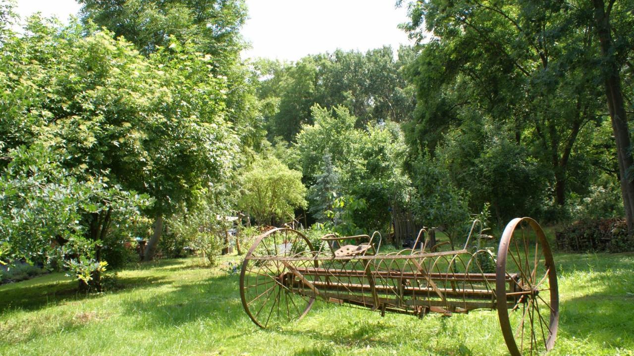 Ferienwohnung Fuchsberge Letschin Exteriör bild